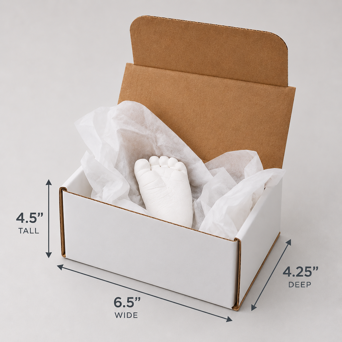 Packaging & Tissue for Transporting Plaster Casts — Makes 10