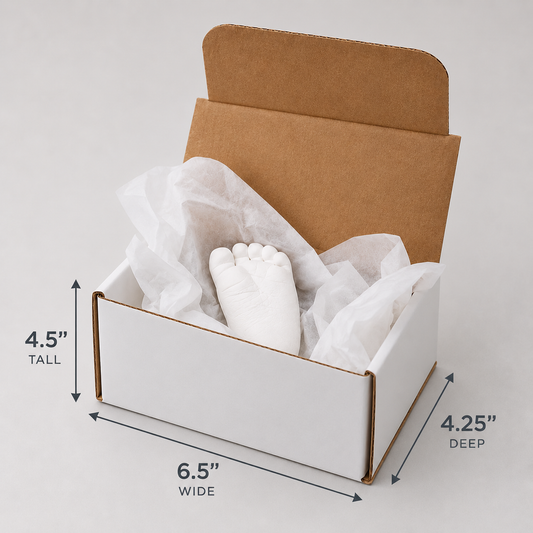 Packaging & Tissue for Transporting Plaster Casts — Makes 10