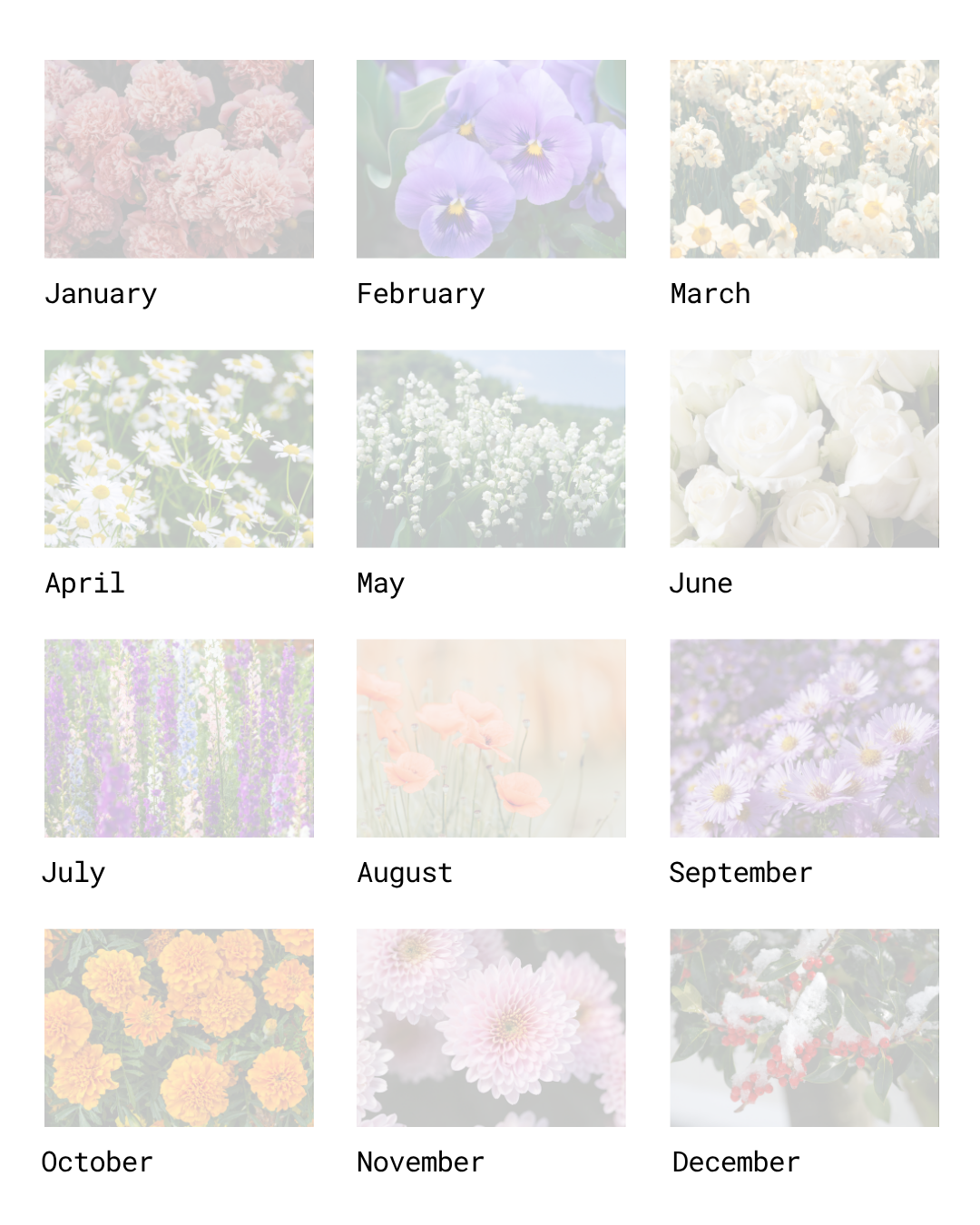 2027 Forever in Bloom Remembrance Calendar
