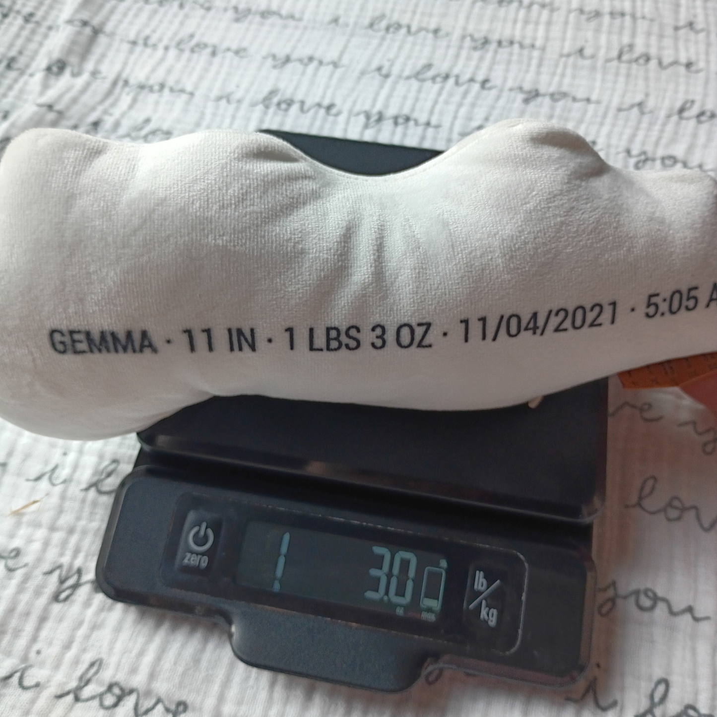 Steel Weight Packs for Memory Bears – 8x Denser Than Plastic, Designed for Weighted Stuffed Animals for Loss Parents